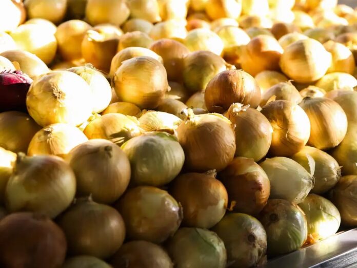 WhatsApp Image 2024-09-03 at 12.14.26 Cesta básica fica mais de R$ 26 mais barata no Vale do Paraíba