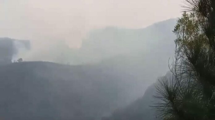 WhatsApp Image 2024-09-03 at 13.14.35 Parque Estadual da Serra do Mar sofre incêndio em Cunha