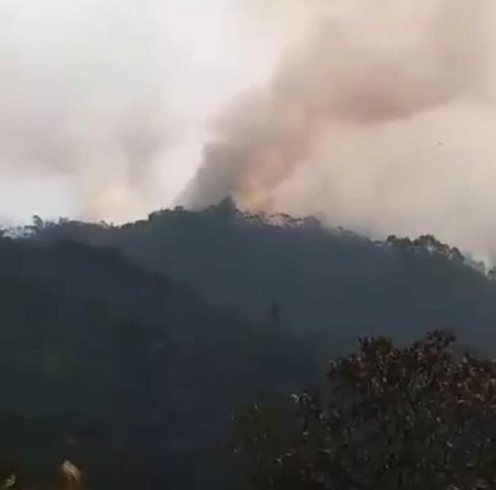 Foco de incêndio em Cunha volta a ficar ativo