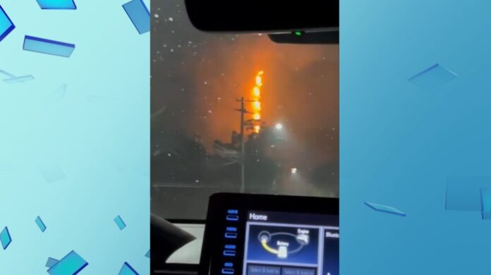 WhatsApp Image 2024-09-09 at 08.08.04