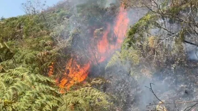 Quatro cidades do Vale têm focos de incêndio nas últimas 24h