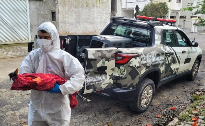 WhatsApp Image 2024-09-11 at 17.01.42