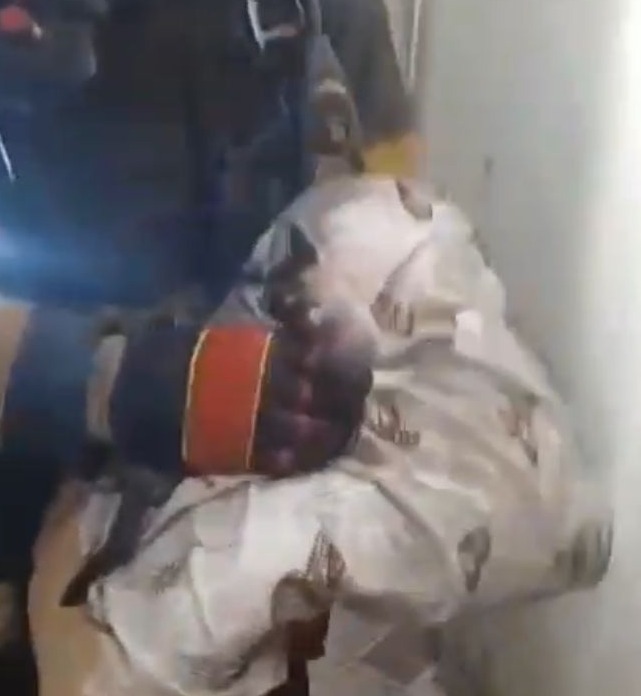 Bombeiros resgatam gato durante incêndio em Pinda