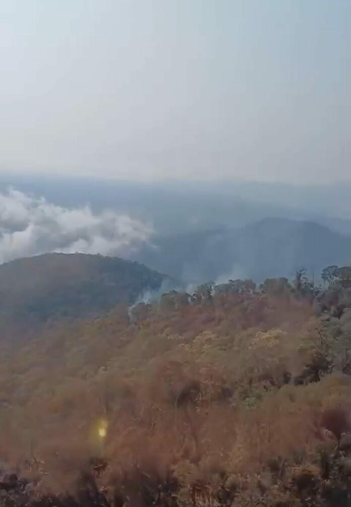 No 9° dia de combate ao incêndio, fogo segue atingindo a Serra da Bocaina