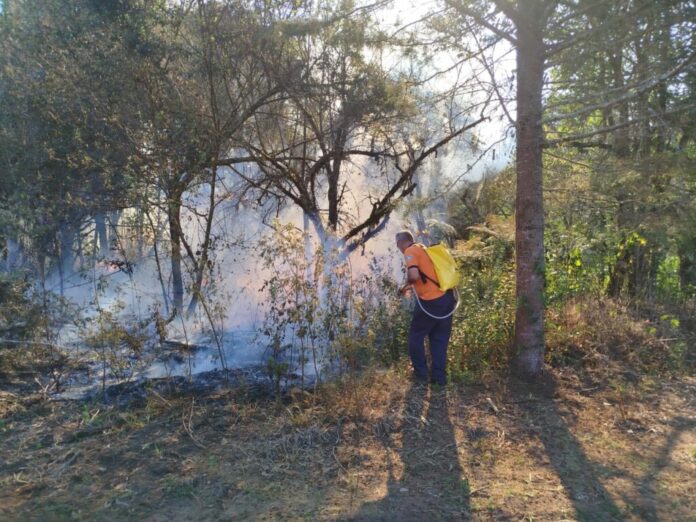Duas cidades do Vale do Paraíba têm focos de incêndio ativos