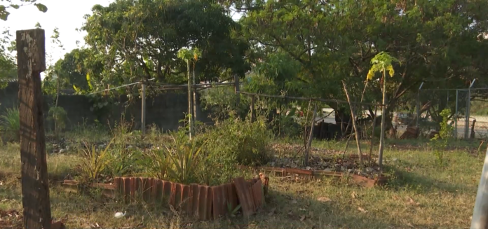 Programa Desenrola Rural oferece alívio financeiro para agricultores