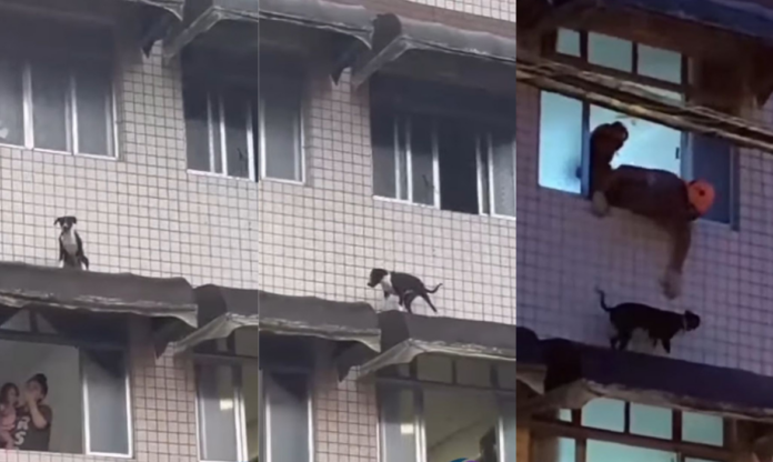 Design sem nome (13)