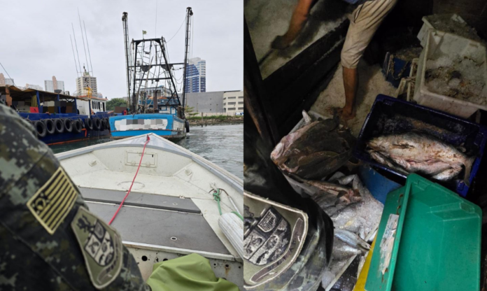 Design sem nome (87)