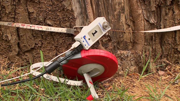 Com a aquisição, Campinas se torna a primeira cidade do Brasil a adotar essa iniciativa, que já está disponível para as equipes de arborização.