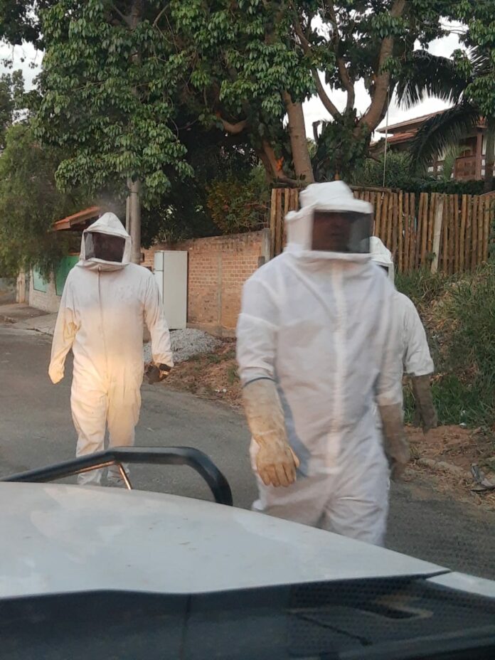 WhatsApp Image 2024-10-01 at 08.23.15