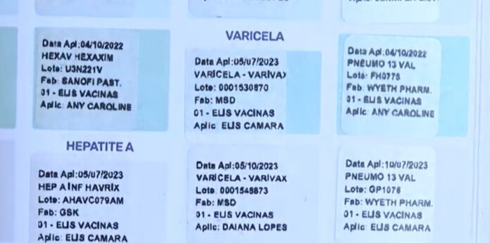 carteira de vacinação Dia Nacional da Vacinação comemora a importância dos imunizantes