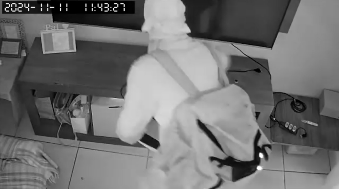 Captura de tela 2024-11-12 190140