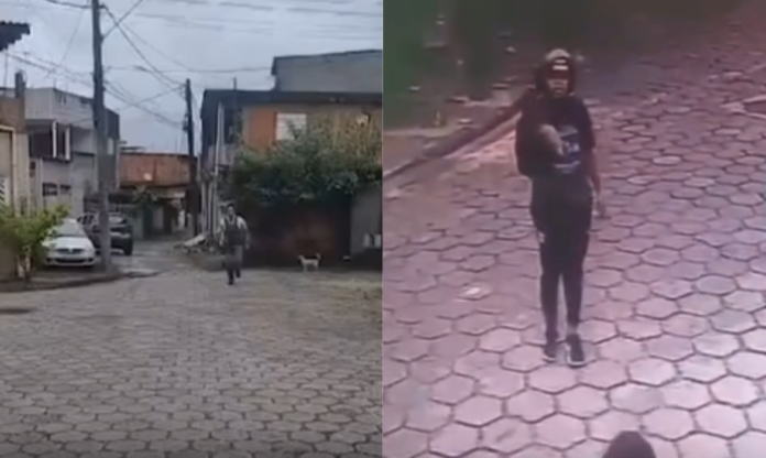 Design sem nome (38)