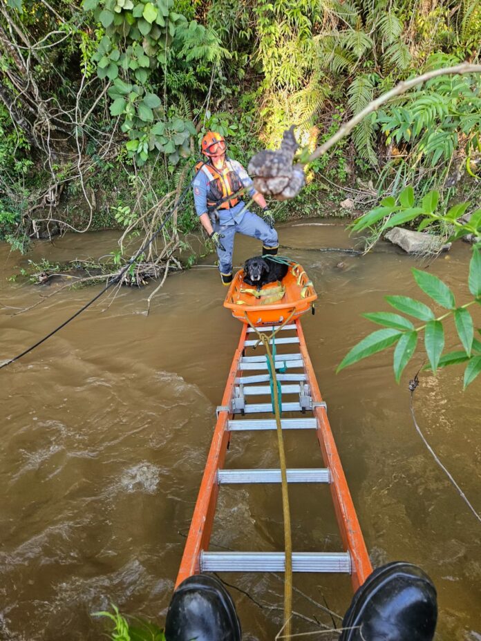 WhatsApp Image 2024-11-11 at 11.13.48