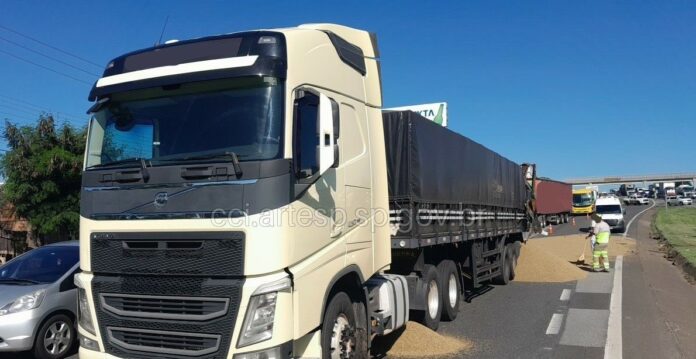 WhatsApp Image 2024-11-11 at 11.44.06 (1)