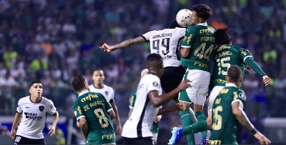 palmeiras e botafogo