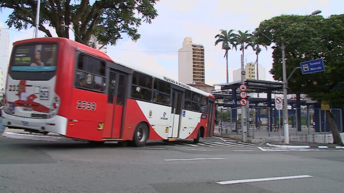 terminal mercado site