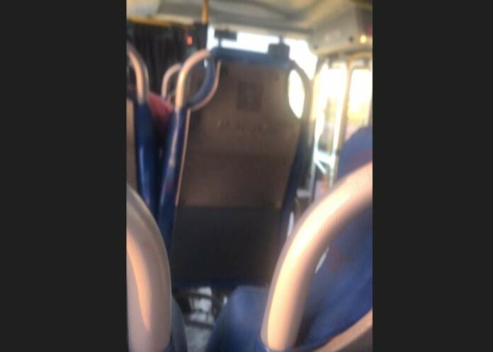 1733154270_21851 Foto: Divulgação