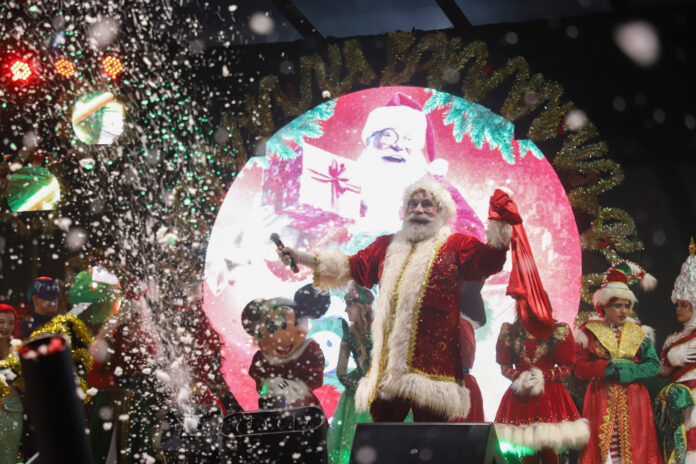 Crédito: Fernanda Sunega