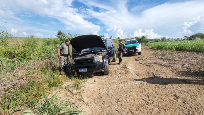 WhatsApp Image 2024-12-06 at 15.36.08