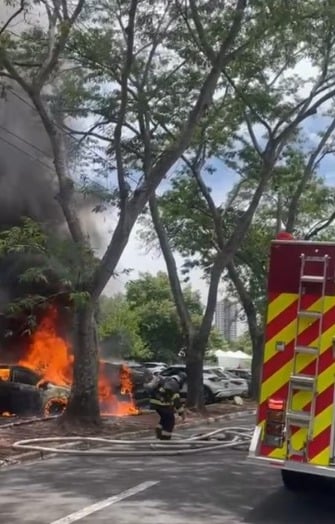 WhatsApp Image 2024-12-07 at 13.57.04