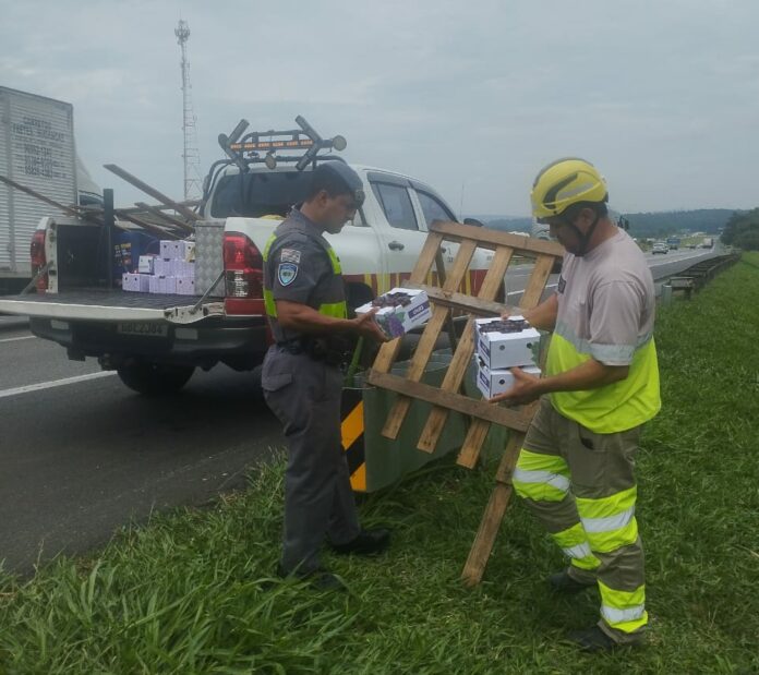 Polícia Rodoviária apreende mais de 100 caixas de fruta por venda irregular na Bandeirantes
