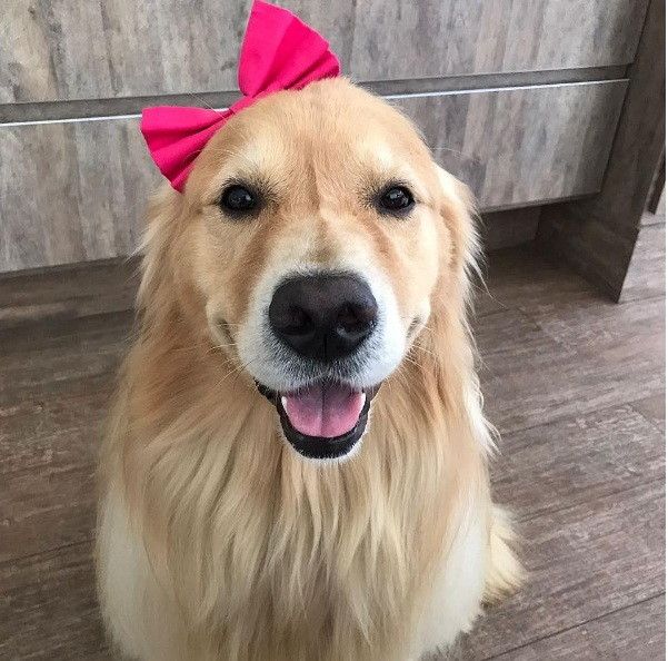 a8a06542591275d569c243aa7a499e9c Foto: Divulgação