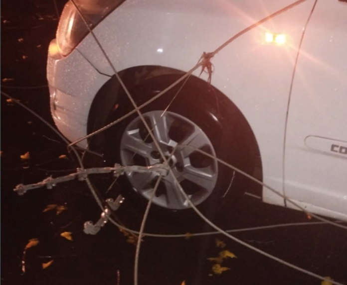 Durante uma forte chuva, uma árvore caiu sobre a rede elétrica, derrubando cabos e atingindo o veículo em que estava.