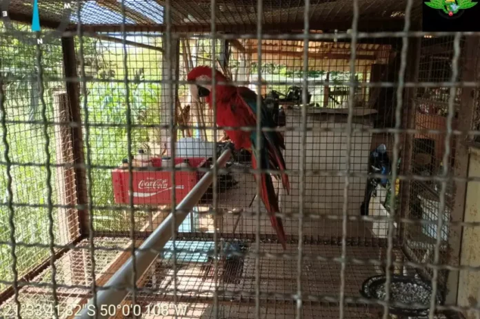 5e19b080569e86dae712a17f8a760d31 Foto: Divulgação