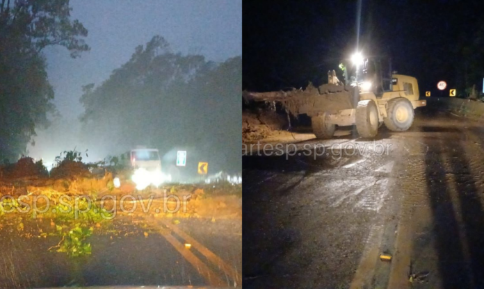 Design sem nome (78)