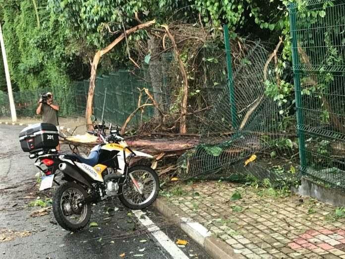 WhatsApp Image 2025-01-07 at 6.56.23 PM