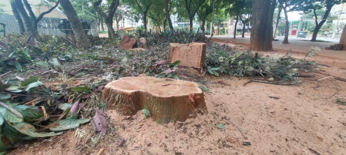 WhatsApp Image 2025-01-15 at 16.42.13