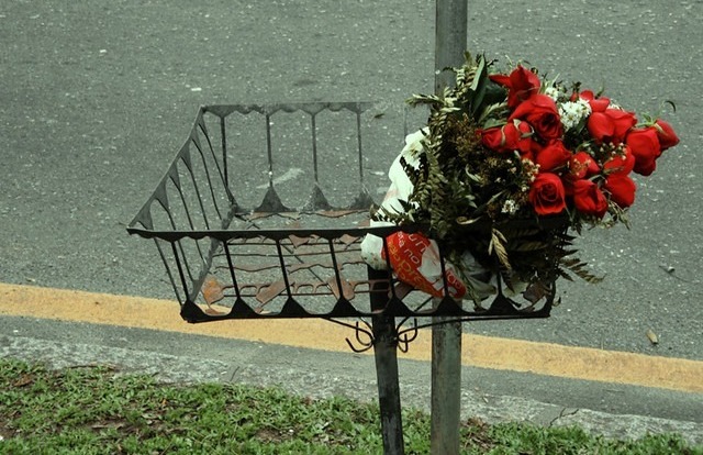 WhatsApp Image 2025-01-23 at 07.48.36