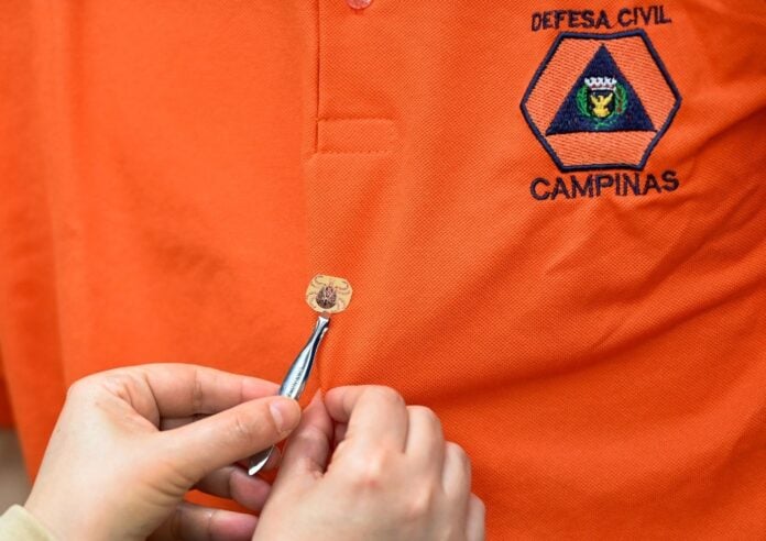 Campinas registra mais dois casos de cura da febre maculosa