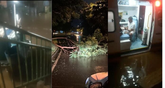 WhatsApp Image 2025-01-27 at 07.28.27