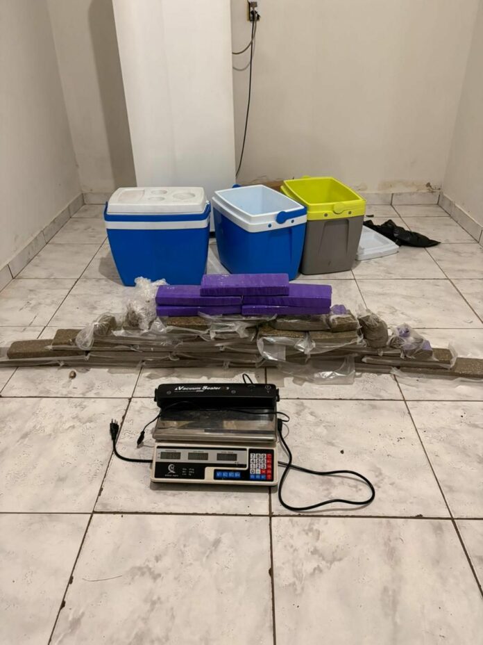 Polícia desmonta armazém do tráfico e apreende quase 30 quilos de drogas