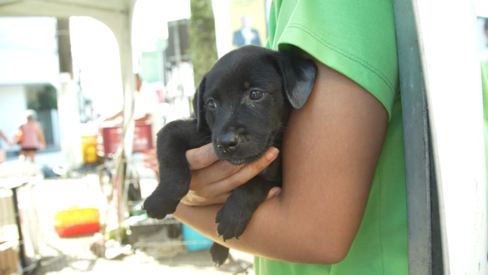 vlcsnap-2023-02-09-17h12m15s139