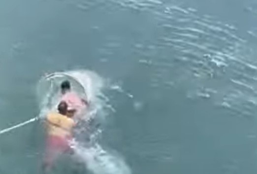 Captura de tela 2025-02-09 191950