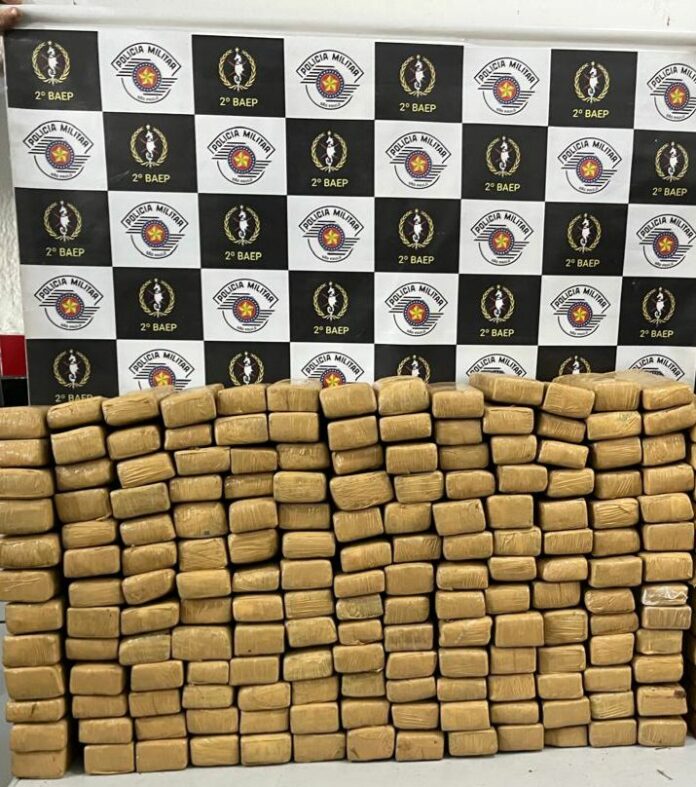 WhatsApp Image 2025-02-11 at 10.36.47