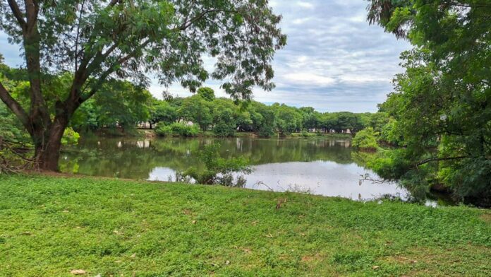 Foto: Divulgação | Prefeitura de Araçatuba