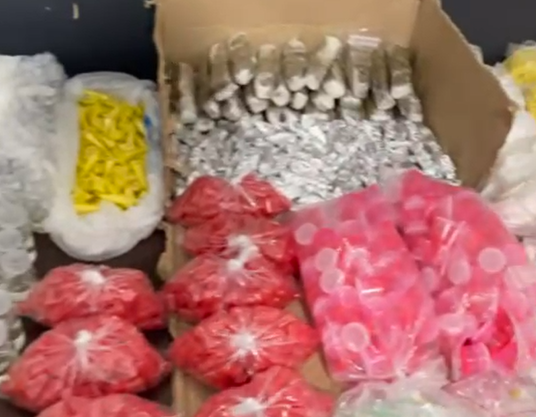 Homem é preso após polícia encontrar drogas no guarda-roupa em Hortolândia