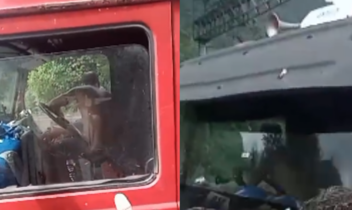 Design sem nome (21)