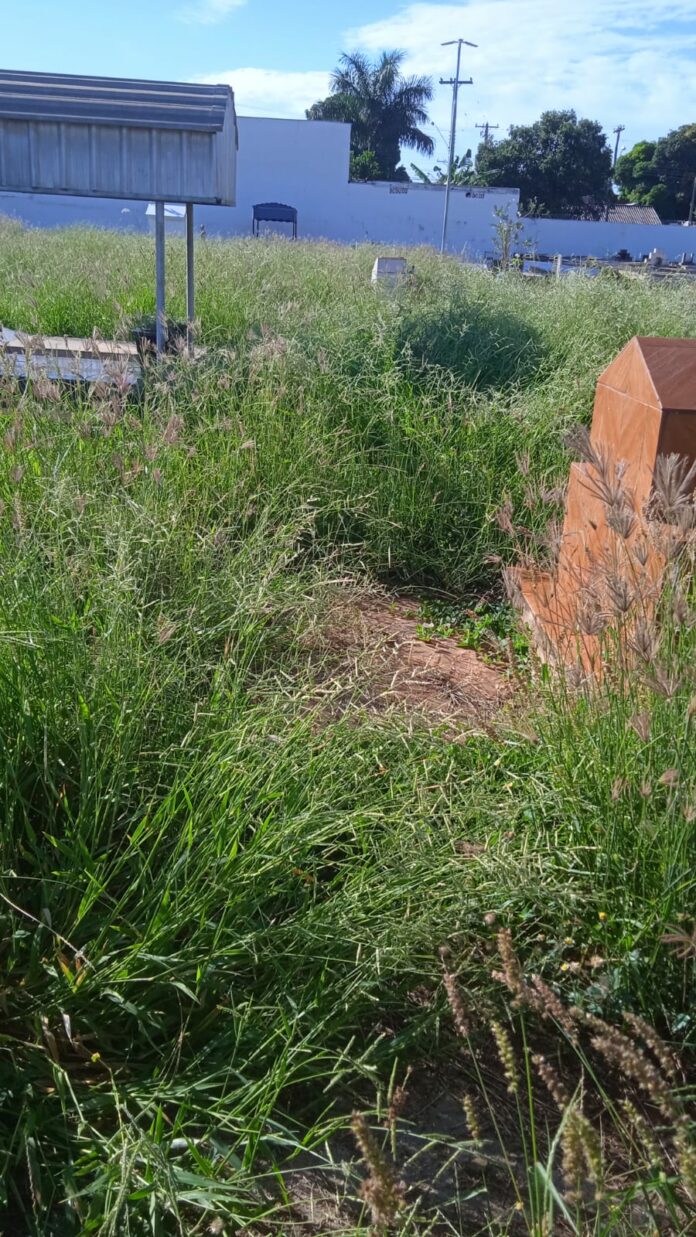 WhatsApp Image 2025-03-05 at 09.26.42 (2) Foto: Divulgação