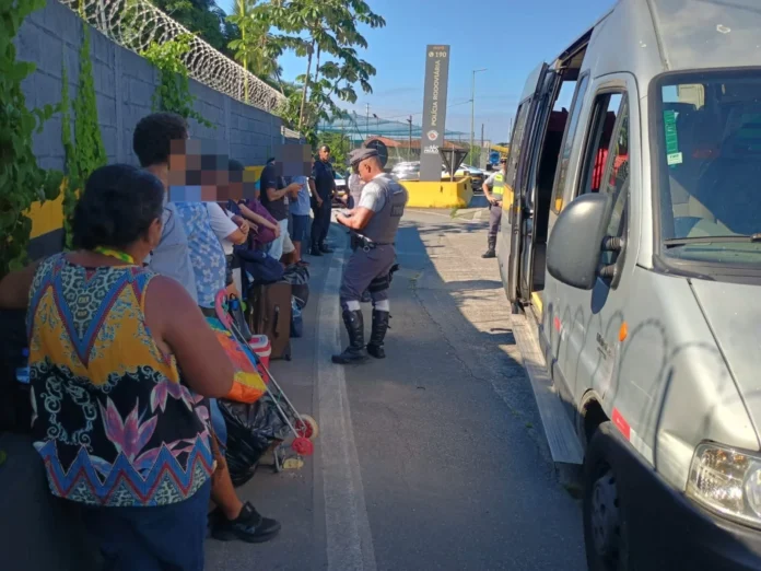 cão farejador drogas pg