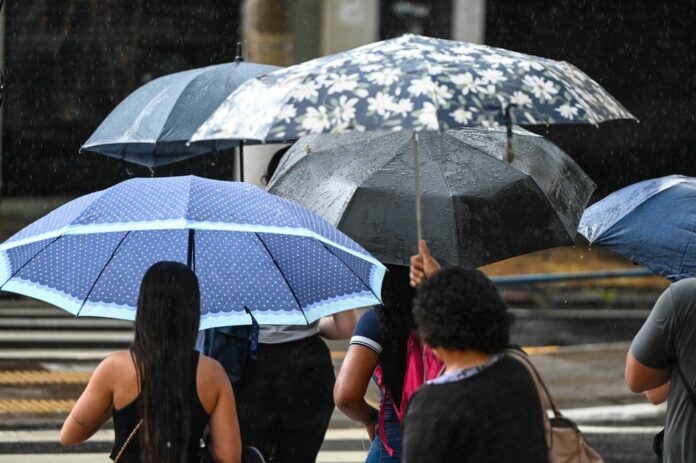 WhatsApp Image 2025-03-31 at 14.50.53