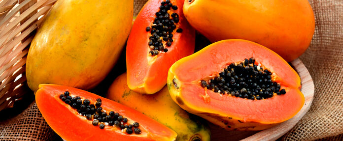 Preço da cesta básica tem alta em fevereiro no Vale do Paraíba, aponta Nupes Preço da cesta básica tem alta em fevereiro no Vale do Paraíba, aponta Nupes