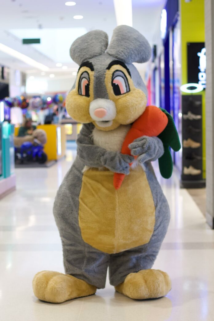 Foto: Divulgação | Shopping Praça Nova