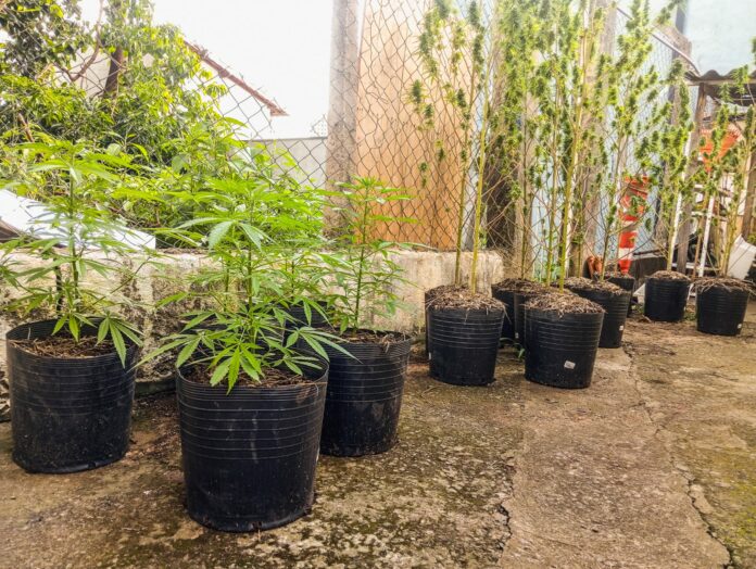 WhatsApp Image 2025-04-10 at 16.35.36