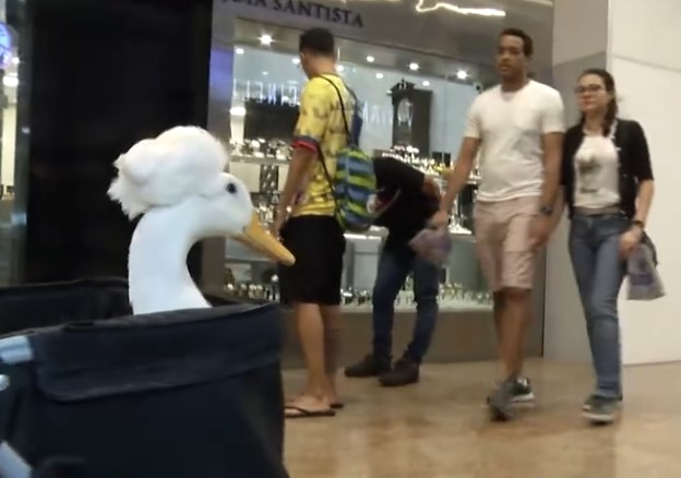 Captura de tela 2025-05-27 170627