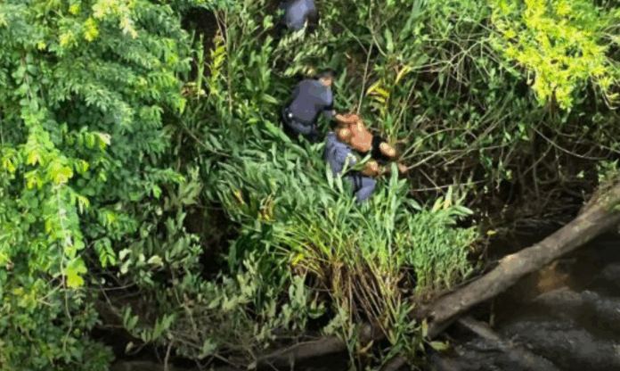 Cópia de Design sem nome (30)